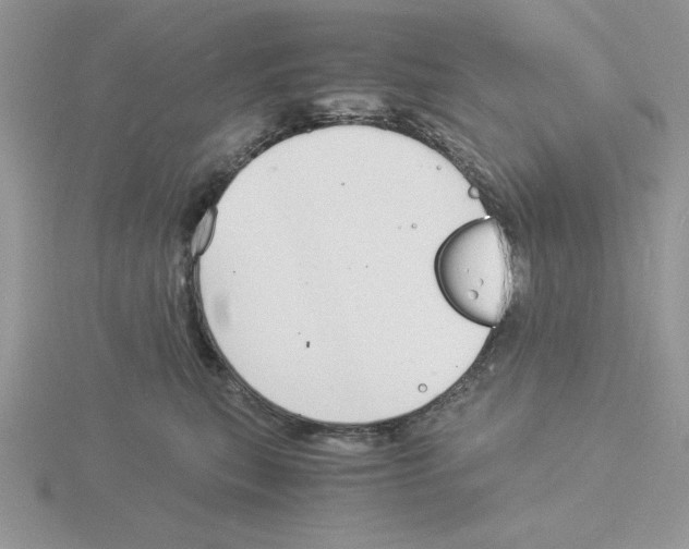 X0000115840567200912111335