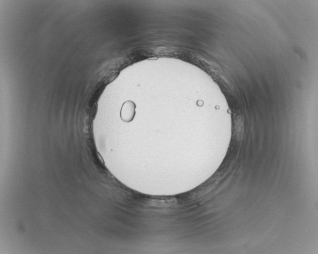 X0000115840571200912111335