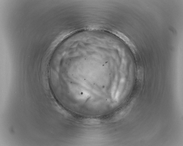 X0000115840577200912111334