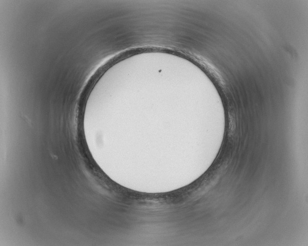 X0000115840580200912111334