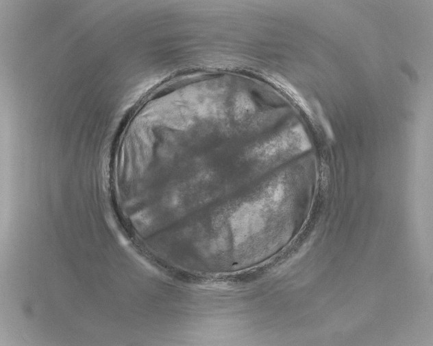 X0000115840581200912111334