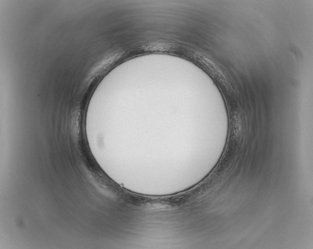 X0000115840586200912111334