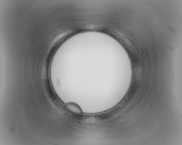 X0000115840587200912111334