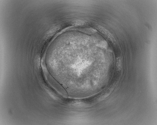 X0000115840589200912111334