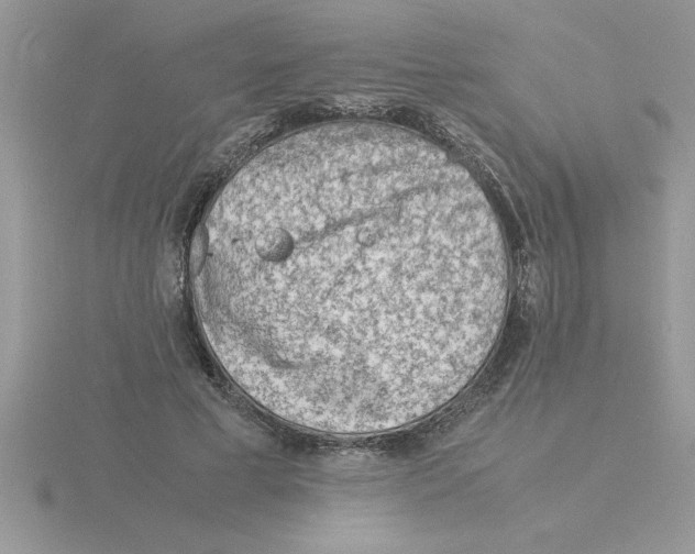 X0000115840593200912111334