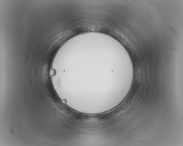 X0000115840594200912111334