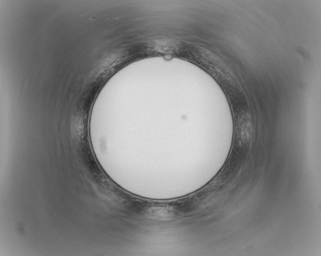 X0000115840595200912111334