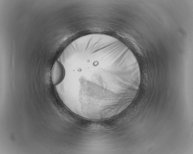 X0000115840596200912111334