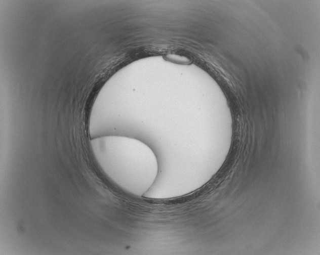 X0000115840597200912111334