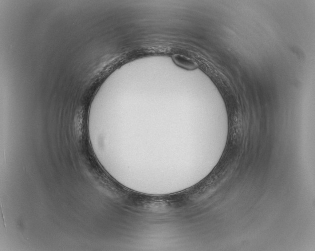 X0000115840600200912111334