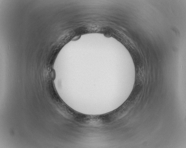 X0000115840601200912111334