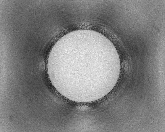 X0000115840602200912111334