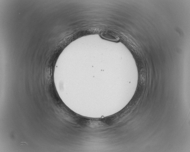 X0000115840605200912111334