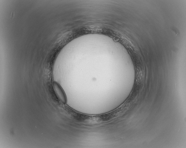 X0000115840609200912111334