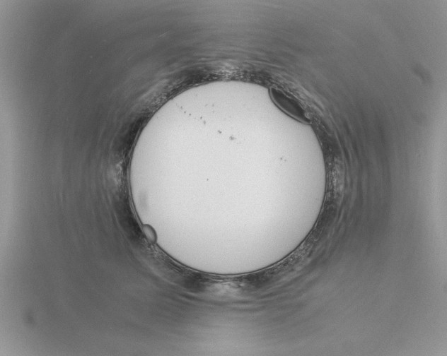 X0000115840611200912111334