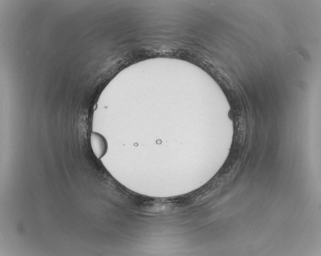 X0000115840612200912111334