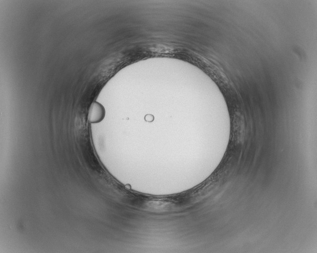 X0000115840614200912111334