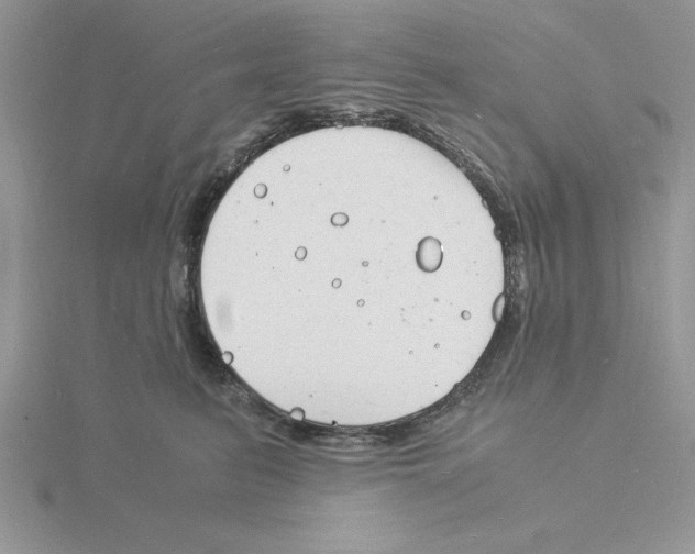 X0000115840615200912111334