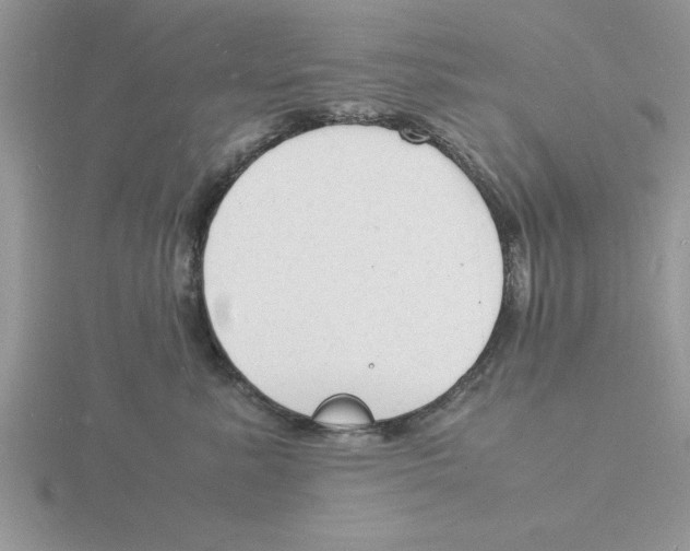 X0000115840619200912111334