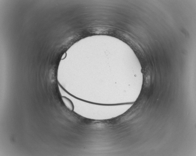 X0000115840620200912111334