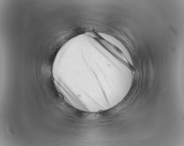 X0000115840621200912111334