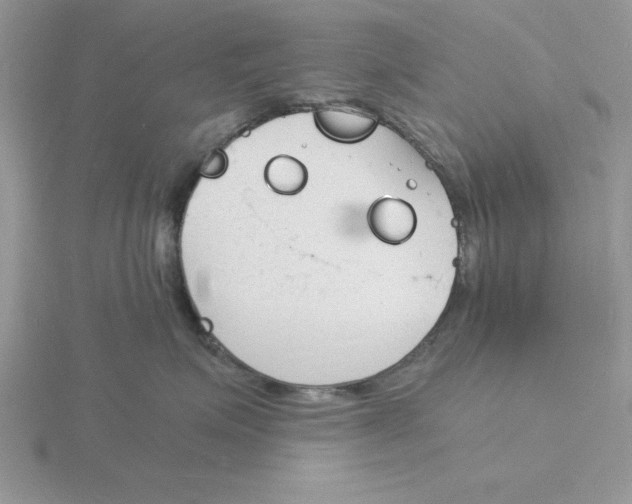 X0000115840623200912111334