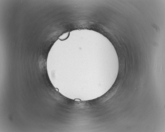 X0000115840624200912111334