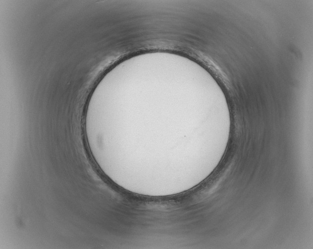 X0000115840625200912111333