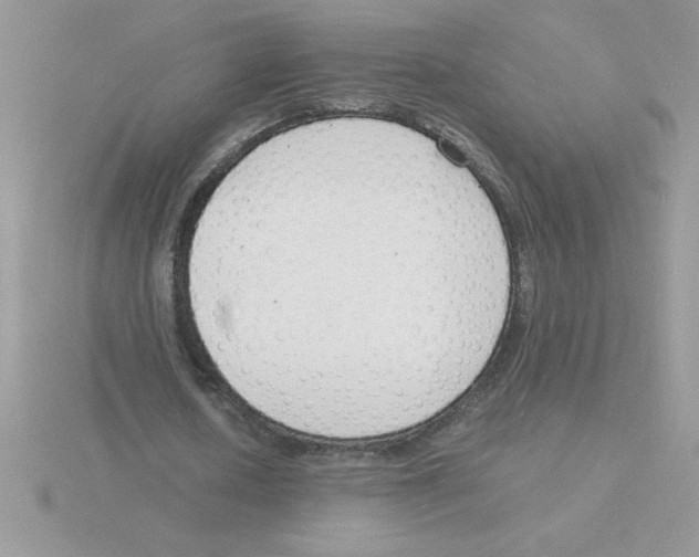 X0000115840626200912111333