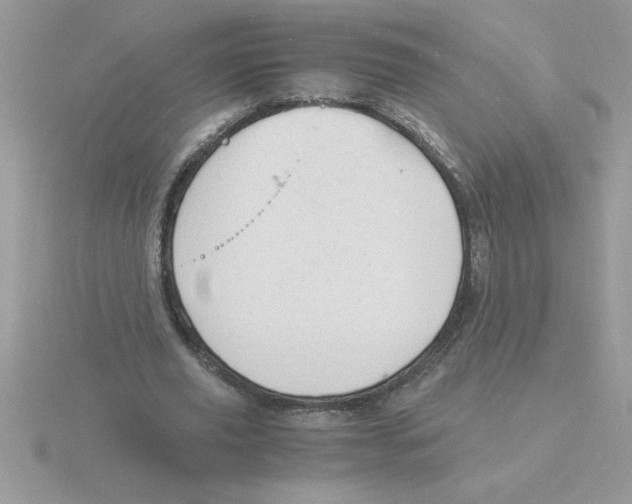 X0000115840629200912111333