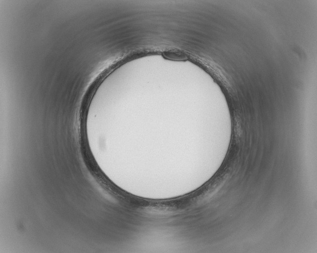 X0000115840630200912111333