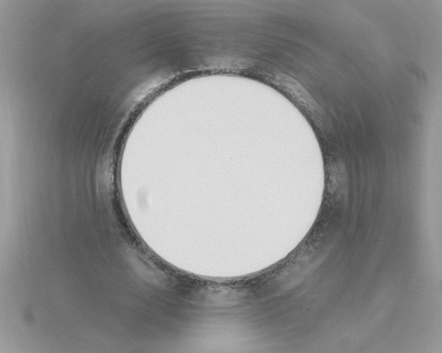 X0000115840632200912111333