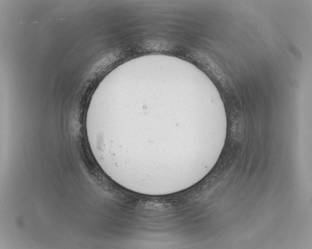 X0000115840635200912111333