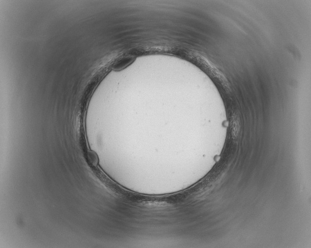 X0000115840637200912111333