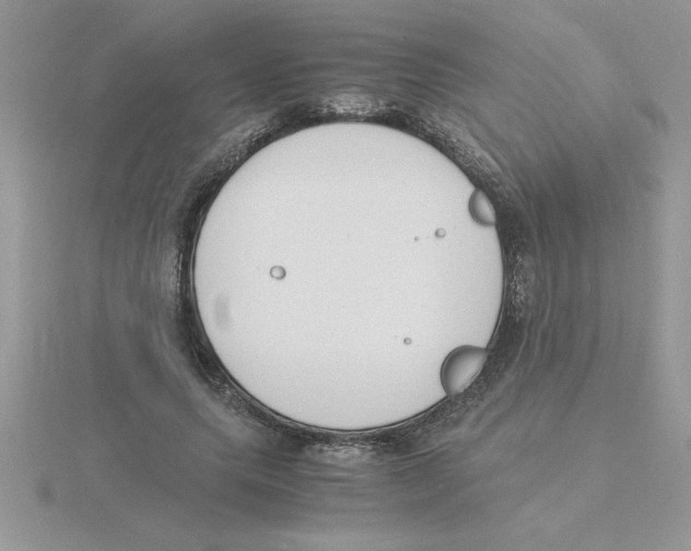 X0000115840639200912111333