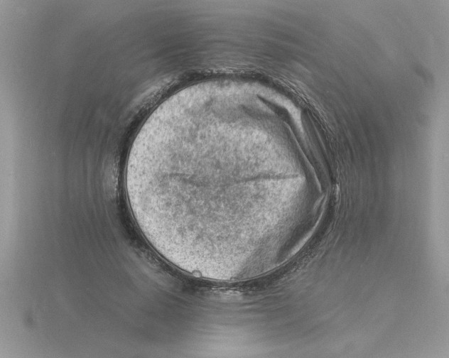 X0000115840640200912111333