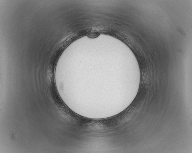 X0000115840648200912111333