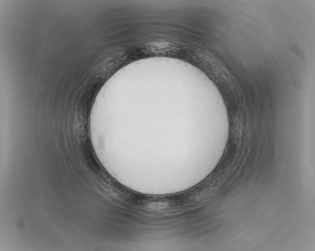 X0000115840653200912111333