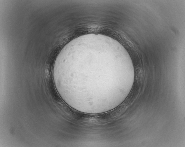 X0000115840655200912111333