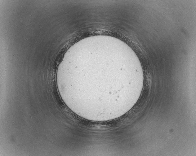 X0000115840657200912111333