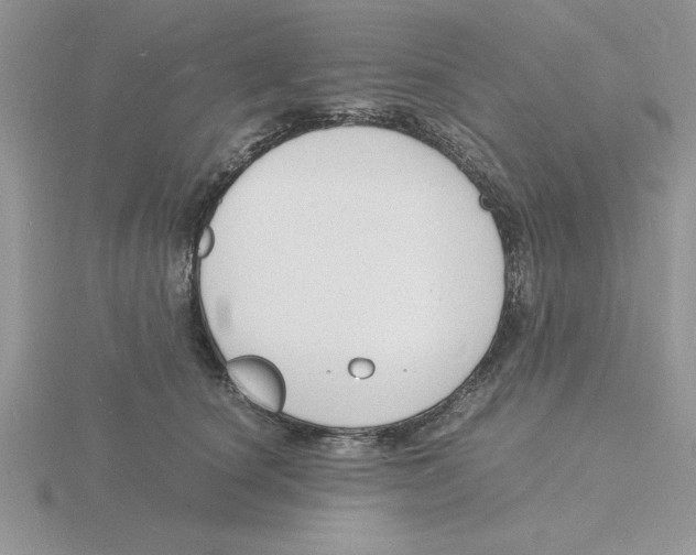 X0000115840660200912111333