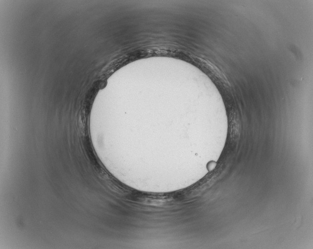 X0000115840661200912111333