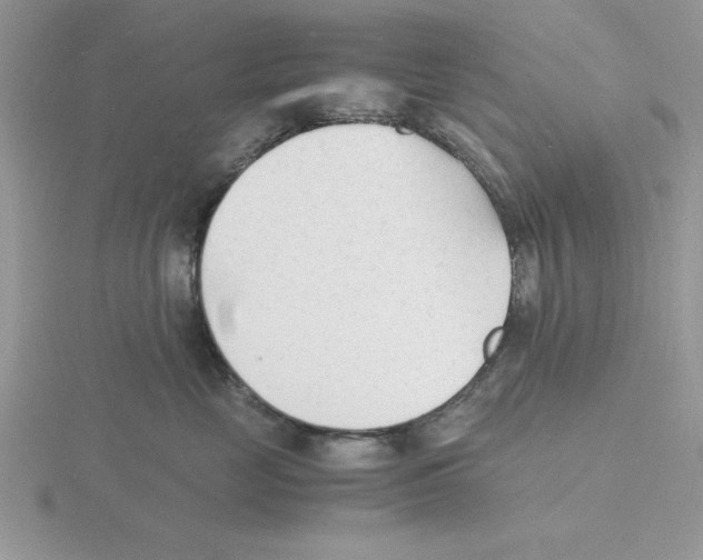 X0000115840669200912111334