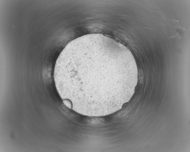 X0000115840670200912111334