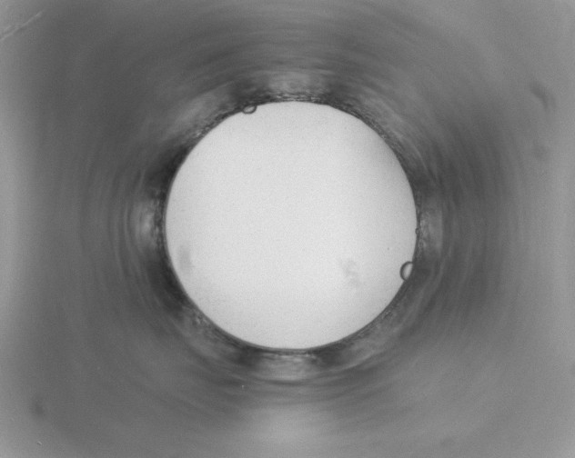 X0000115840671200912111334