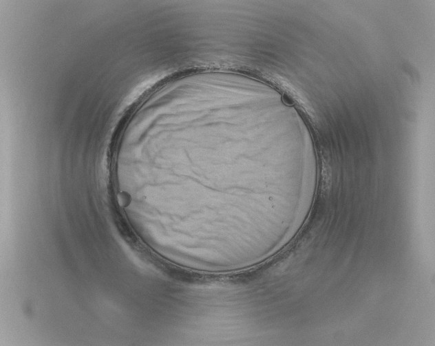 X0000115840674200912111333