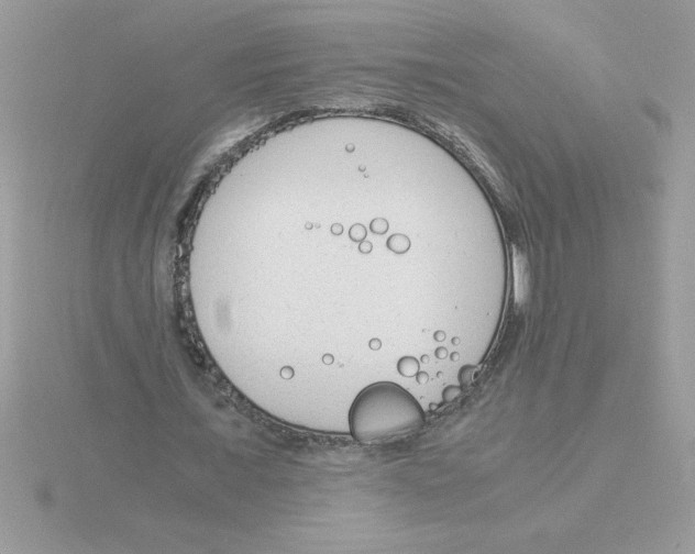 X0000115840675200912111333