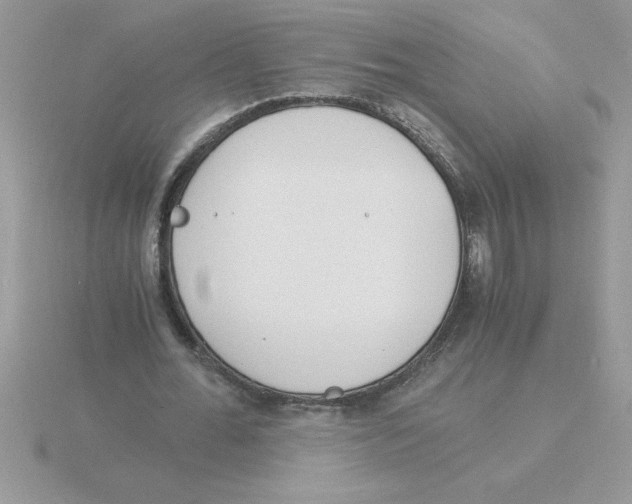 X0000115840676200912111333