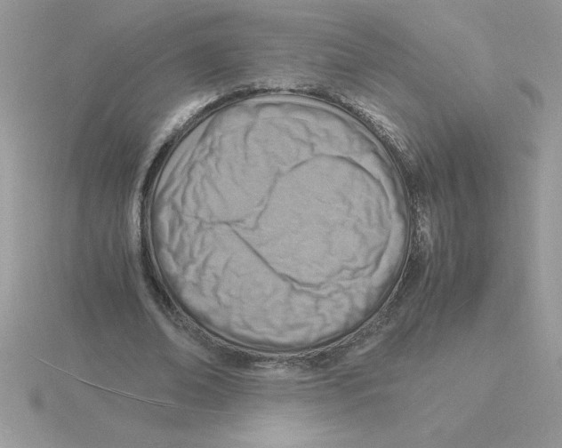 X0000115840678200912111333