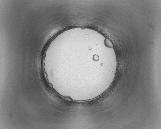 X0000115840679200912111333